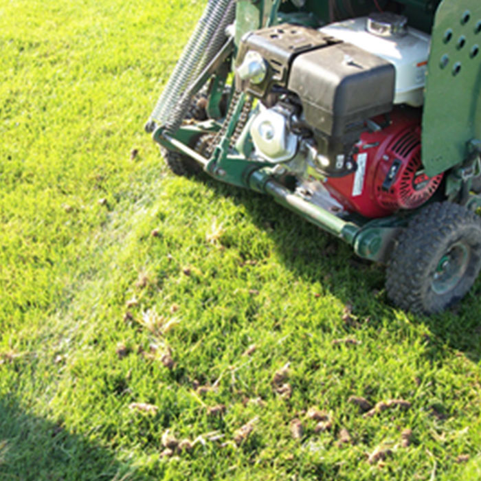 aeration treatment on lawn