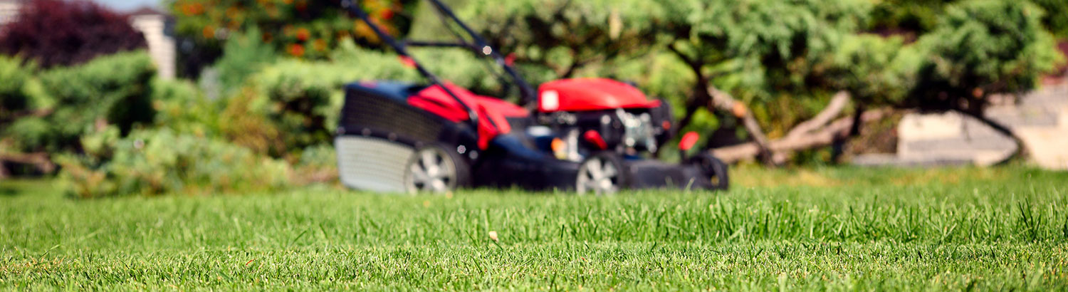 lawnmower mowing grass