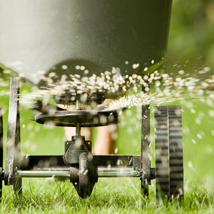 spreading fertilizer on lawn