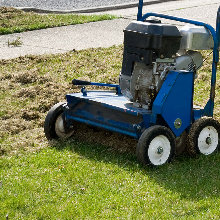 power raking machine that decreases thatch