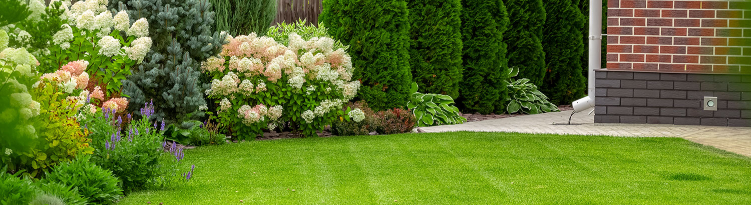 landscaped yard with shrubs