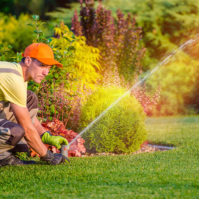 person monitoring sprinkler system to ensure it's working properly