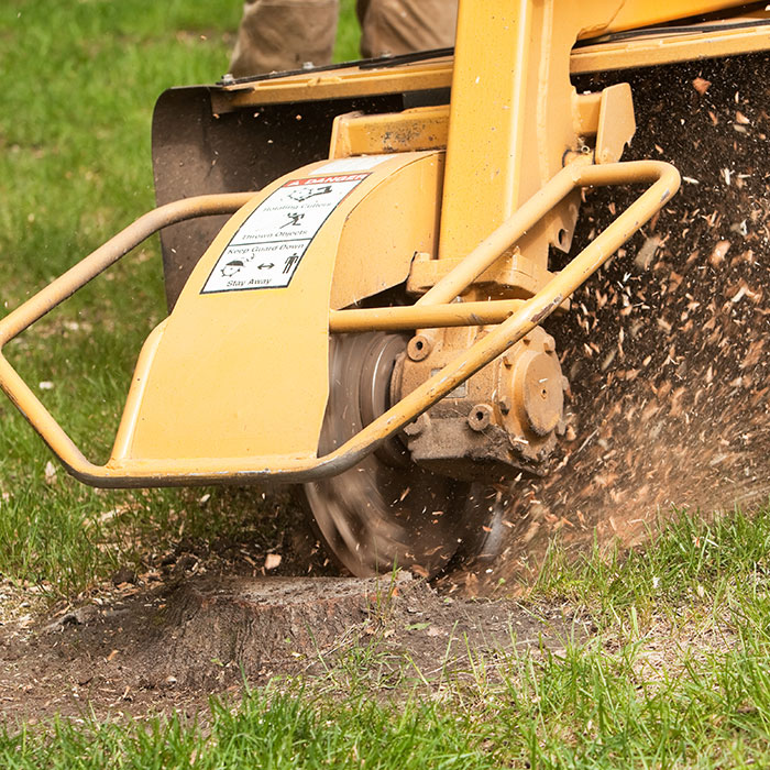 tree stump grinding machine